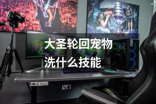 大圣轮回宠物洗什么技能-第1张-游戏信息-龙启网