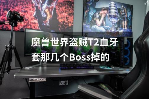 魔兽世界盗贼T2血牙套那几个Boss掉的-第1张-游戏信息-龙启网