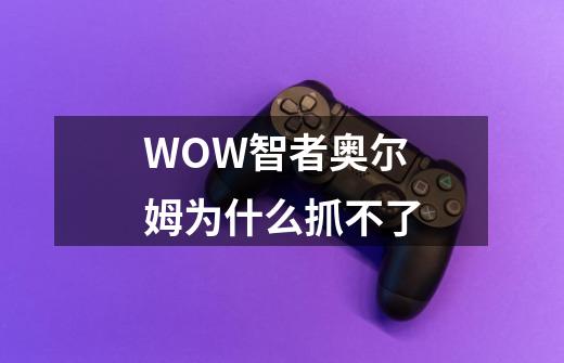 WOW智者奥尔姆为什么抓不了-第1张-游戏信息-龙启网