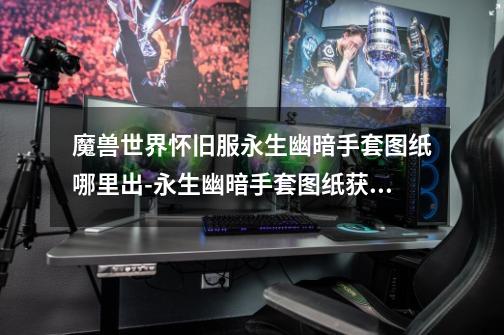 魔兽世界怀旧服永生幽暗手套图纸哪里出-永生幽暗手套图纸获取攻略-第1张-游戏信息-龙启网