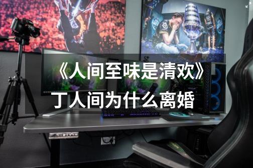 《人间至味是清欢》丁人间为什么离婚-第1张-游戏信息-龙启网