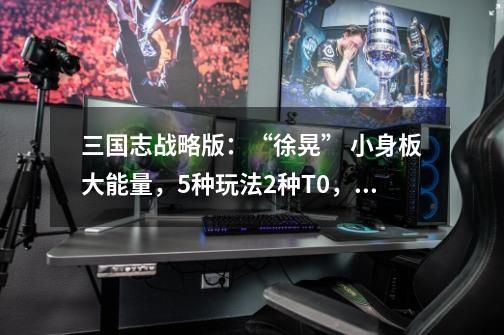 三国志战略版:“徐晃” 小身板大能量,5种玩法2种T0,平民之光!-第1张-游戏信息-龙启网
