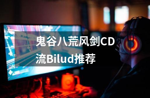 鬼谷八荒风剑CD流Bilud推荐-第1张-游戏信息-龙启网