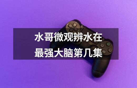 水哥微观辨水在最强大脑第几集-第1张-游戏信息-龙启网