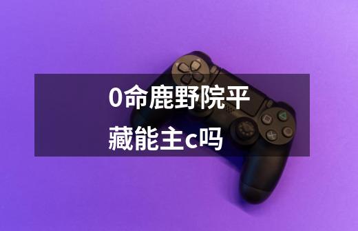 0命鹿野院平藏能主c吗-第1张-游戏信息-龙启网