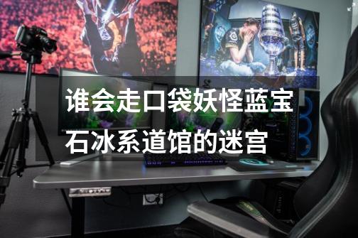 谁会走口袋妖怪蓝宝石冰系道馆的迷宫-第1张-游戏信息-龙启网