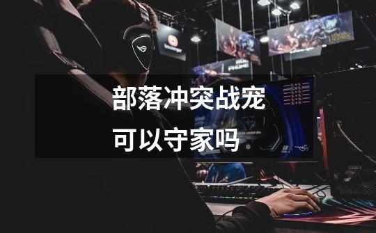 部落冲突战宠可以守家吗-第1张-游戏信息-龙启网