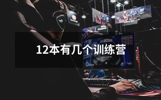12本有几个训练营-第1张-游戏信息-龙启网