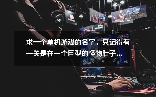 求一个单机游戏的名字。只记得有一关是在一个巨型的怪物肚子里打的！-第1张-游戏信息-龙启网