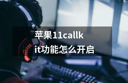 苹果11callkit功能怎么开启-第1张-游戏信息-龙启网