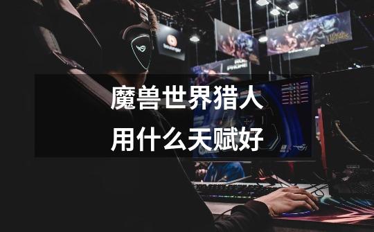 魔兽世界猎人用什么天赋好-第1张-游戏信息-龙启网