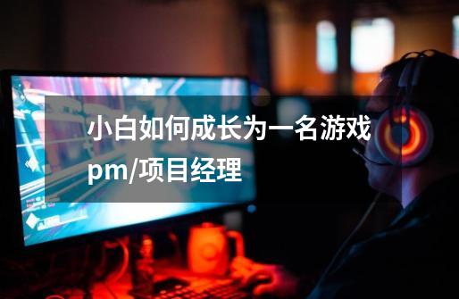 小白如何成长为一名游戏pm/项目经理-第1张-游戏信息-龙启网