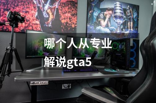 哪个人从专业解说gta5-第1张-游戏信息-龙启网