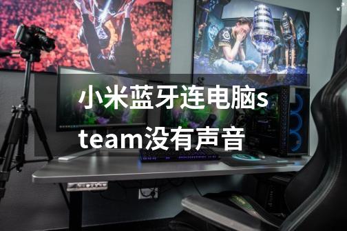 小米蓝牙连电脑steam没有声音-第1张-游戏信息-龙启网