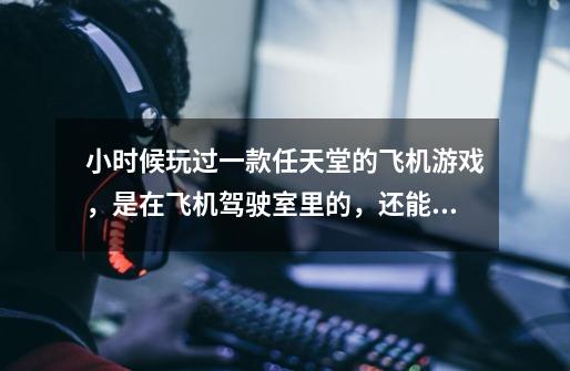 小时候玩过一款任天堂的飞机游戏，是在飞机驾驶室里的，还能空中加油，降落航母的游戏是什么名字-第1张-游戏信息-龙启网