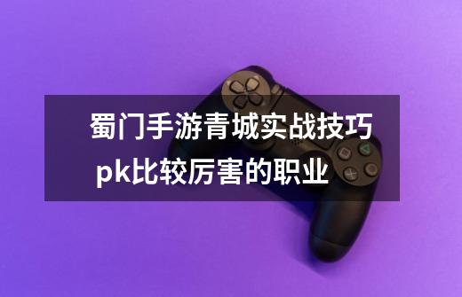 蜀门手游青城实战技巧 pk比较厉害的职业-第1张-游戏信息-龙启网
