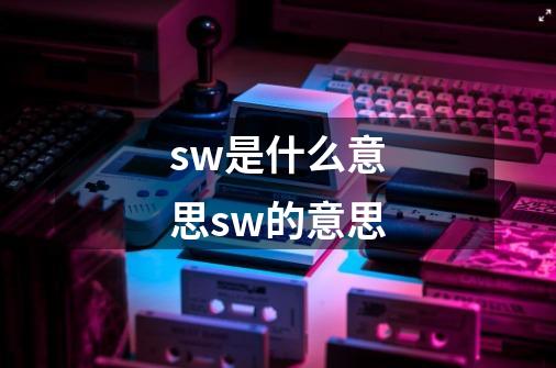 sw是什么意思sw的意思-第1张-游戏信息-龙启网