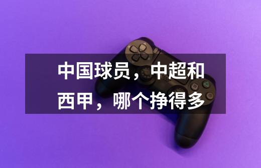 中国球员,中超和西甲,哪个挣得多-第1张-游戏信息-龙启网