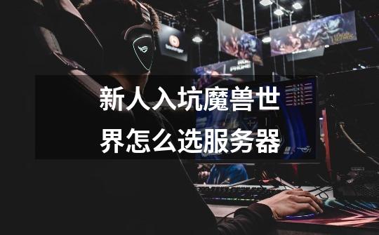 新人入坑魔兽世界怎么选服务器-第1张-游戏信息-龙启网