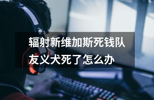 辐射新维加斯死钱队友义犬死了怎么办-第1张-游戏信息-龙启网