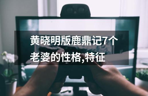 黄晓明版鹿鼎记7个老婆的性格,特征-第1张-游戏信息-龙启网