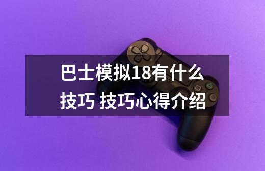 巴士模拟18有什么技巧 技巧心得介绍-第1张-游戏信息-龙启网