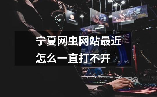 宁夏网虫网站最近怎么一直打不开-第1张-游戏信息-龙启网