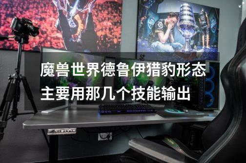 魔兽世界德鲁伊猎豹形态主要用那几个技能输出-第1张-游戏信息-龙启网