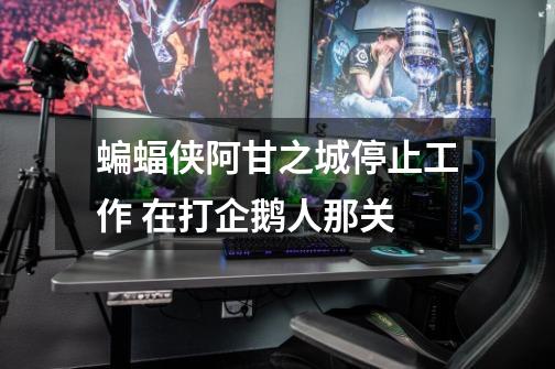 蝙蝠侠阿甘之城停止工作 在打企鹅人那关-第1张-游戏信息-龙启网