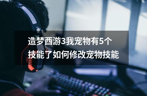 造梦西游3我宠物有5个技能了如何修改宠物技能-第1张-游戏信息-龙启网