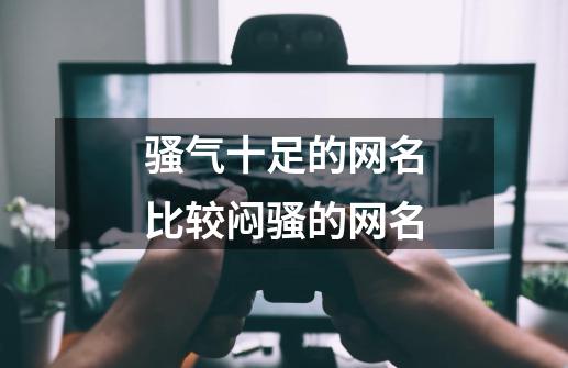 骚气十足的网名比较闷骚的网名-第1张-游戏信息-龙启网