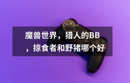 魔兽世界,猎人的BB,掠食者和野猪哪个好-第1张-游戏信息-龙启网