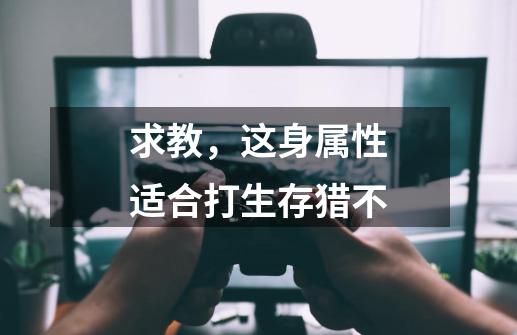 求教,这身属性适合打生存猎不-第1张-游戏信息-龙启网
