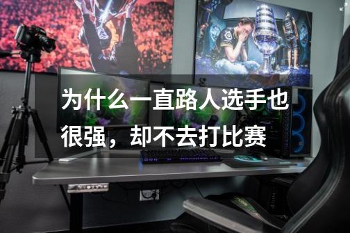为什么一直路人选手也很强,却不去打比赛-第1张-游戏信息-龙启网