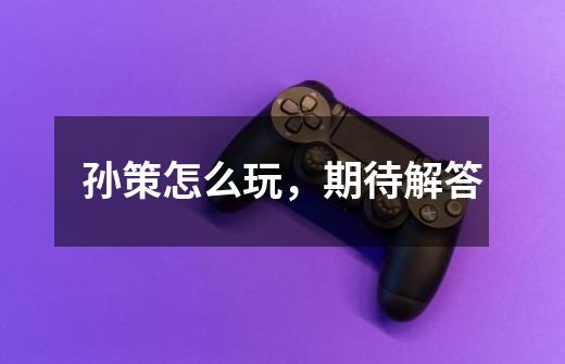 孙策怎么玩,期待解答-第1张-游戏信息-龙启网