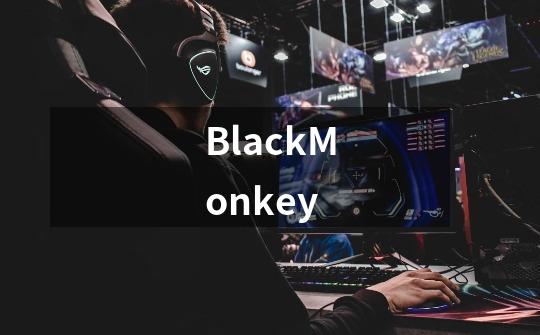 BlackMonkey-第1张-游戏信息-龙启网