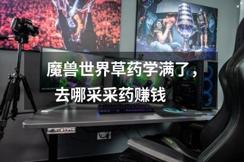 魔兽世界草药学满了, 去哪采采药赚钱-第1张-游戏信息-龙启网