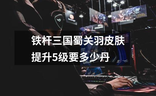 铁杆三国蜀关羽皮肤提升5级要多少丹-第1张-游戏信息-龙启网