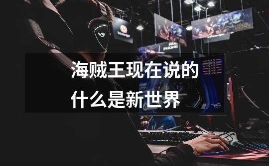海贼王现在说的什么是新世界-第1张-游戏信息-龙启网