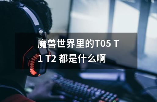 魔兽世界里的T0.5 T1 T2 都是什么啊-第1张-游戏信息-龙启网