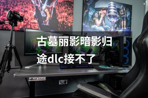 古墓丽影暗影归途dlc接不了-第1张-游戏信息-龙启网