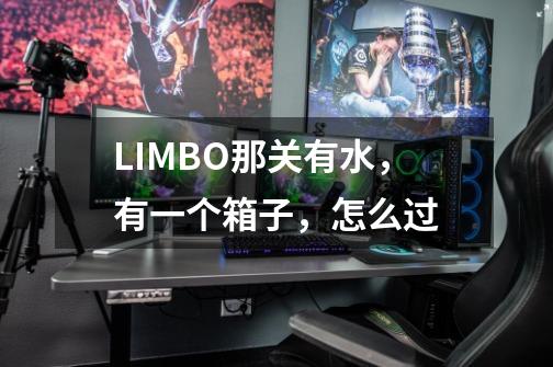 LIMBO那关有水,有一个箱子,怎么过-第1张-游戏信息-龙启网