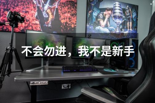 不会勿进,我不是新手-第1张-游戏信息-龙启网