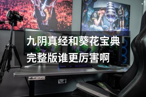 九阴真经和葵花宝典完整版谁更厉害啊-第1张-游戏信息-龙启网