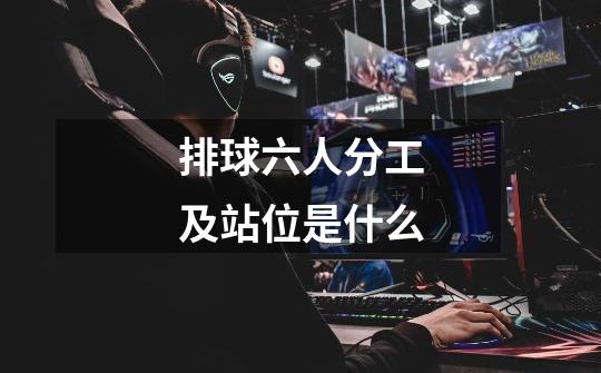 排球六人分工及站位是什么-第1张-游戏信息-龙启网