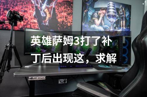 英雄萨姆3打了补丁后出现这，求解-第1张-游戏信息-龙启网