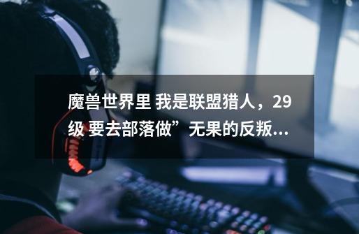 魔兽世界里 我是联盟猎人，29级 要去部落做”无果的反叛“这个任务。怎么过去-第1张-游戏信息-龙启网