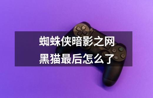 蜘蛛侠暗影之网黑猫最后怎么了-第1张-游戏信息-龙启网