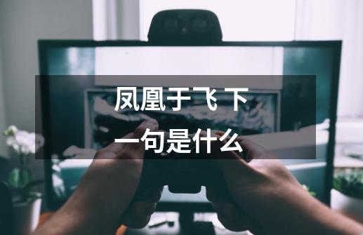 凤凰于飞 下一句是什么-第1张-游戏信息-龙启网