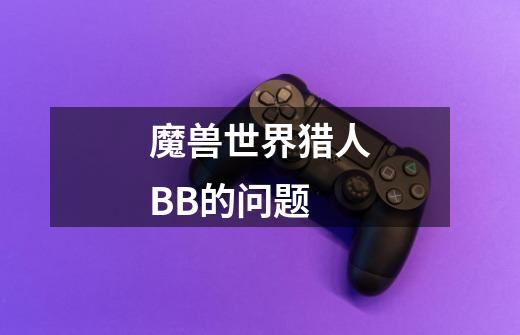 魔兽世界猎人BB的问题-第1张-游戏信息-龙启网